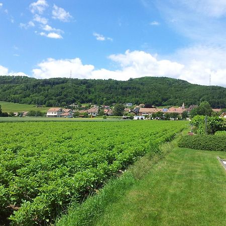 Au Coeur Du Vignoble Sur Bursins Acomodação com café da manhã Exterior foto