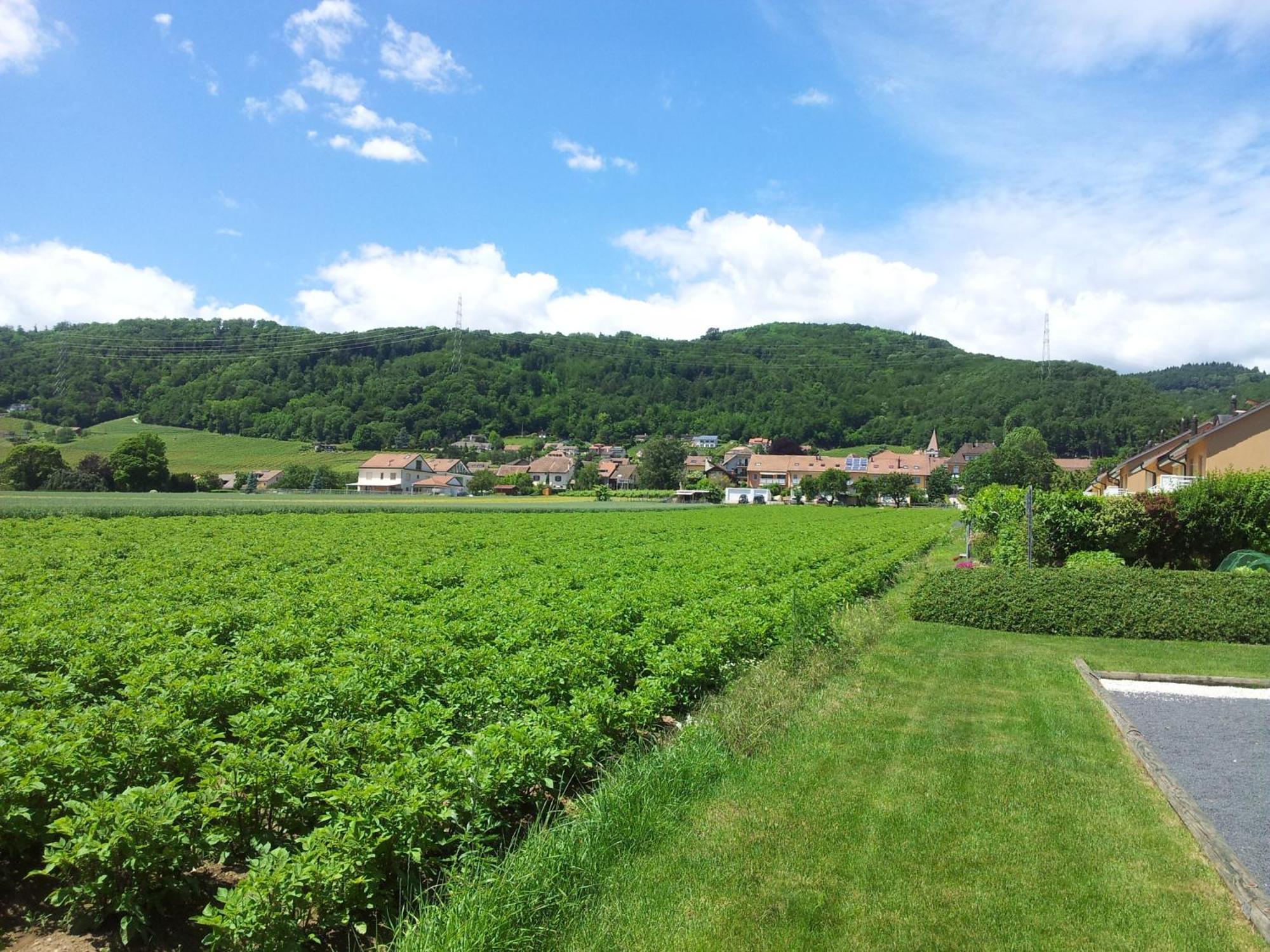 Au Coeur Du Vignoble Sur Bursins Acomodação com café da manhã Exterior foto
