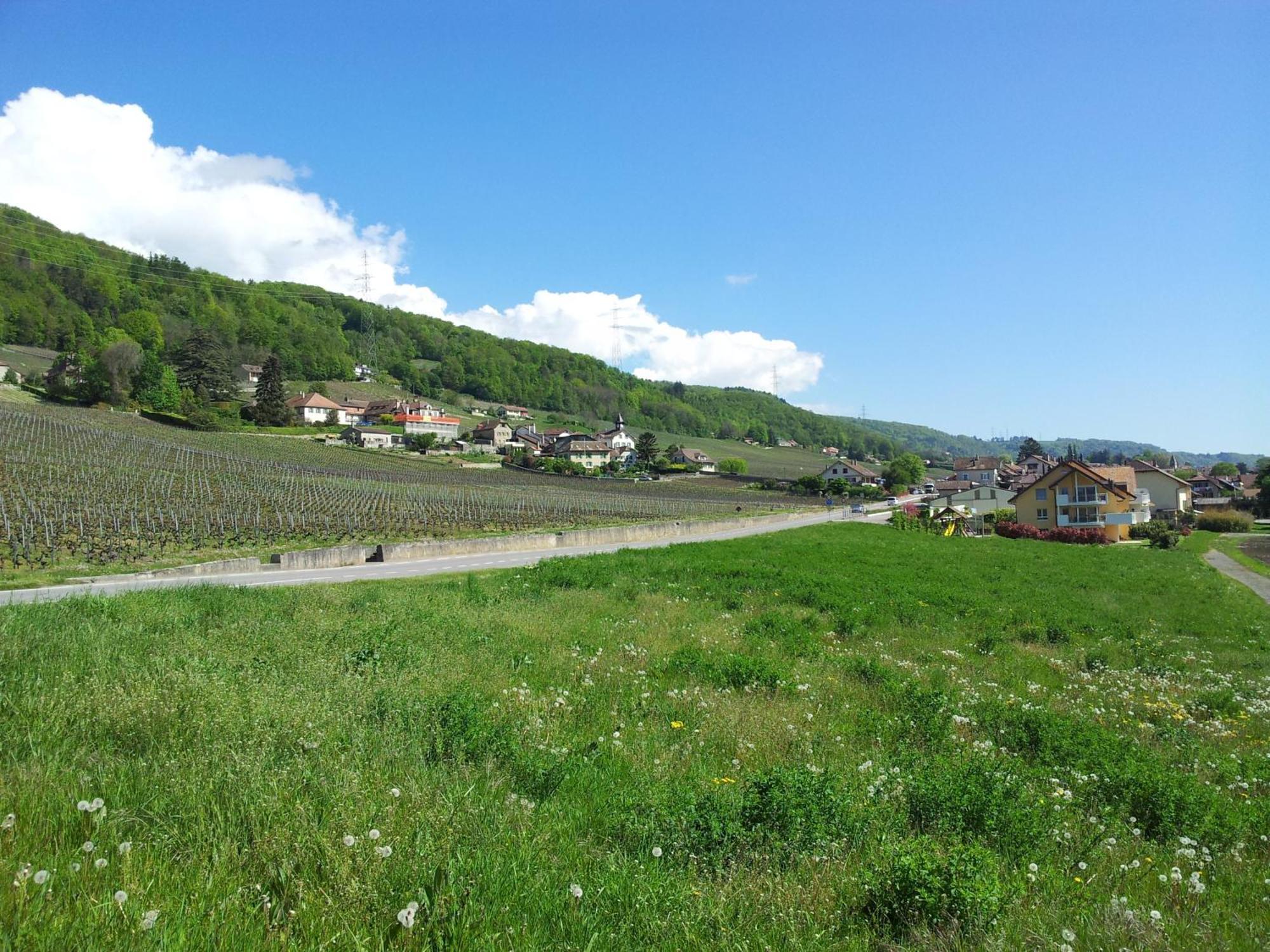 Au Coeur Du Vignoble Sur Bursins Acomodação com café da manhã Exterior foto